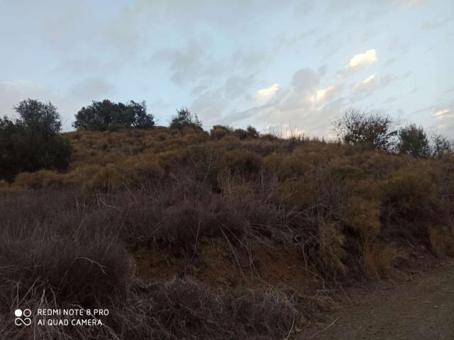 Terreno en venta en Iznate