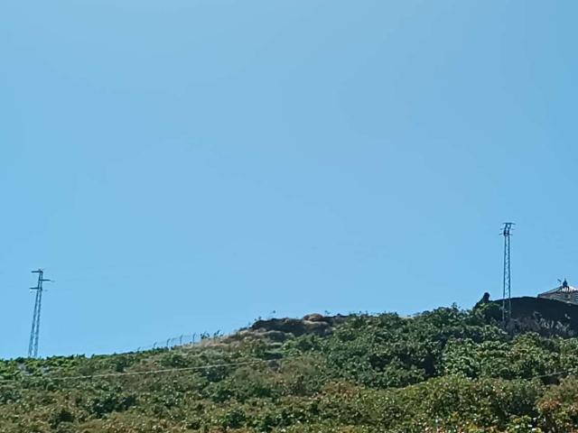 Terreno en venta en Iznate