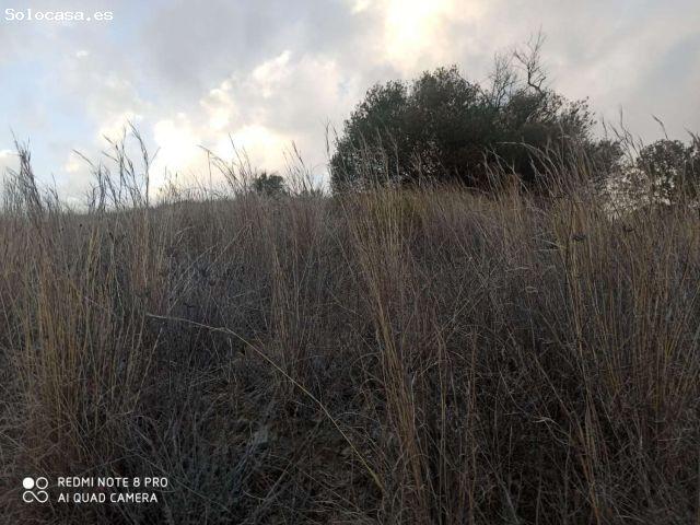 Local Comercial en venta en La Axarquía, Andalucía