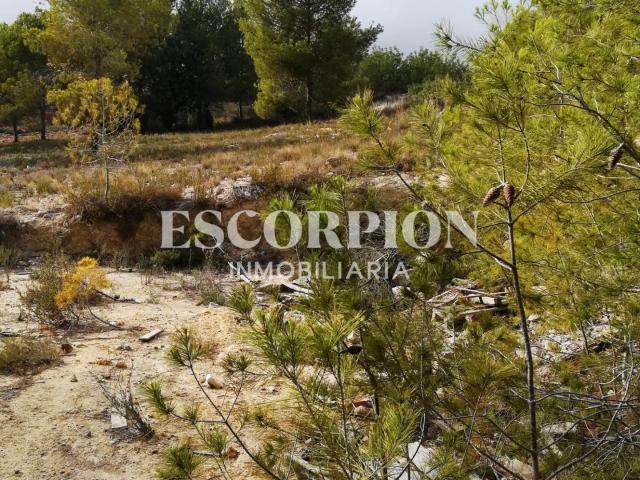Terreno en venta en la Canyada, l'Horta Nord