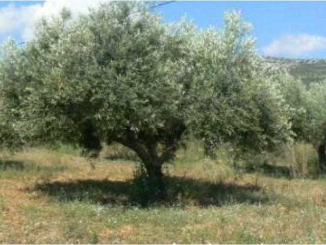 Terreno en venta en Centro, Málaga-Costa del Sol