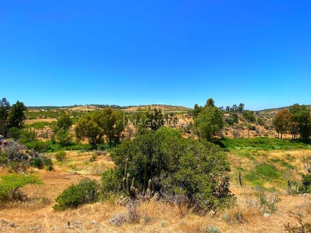 Terreno en venta en La Estrella, Libertador General Bernardo O'higgins