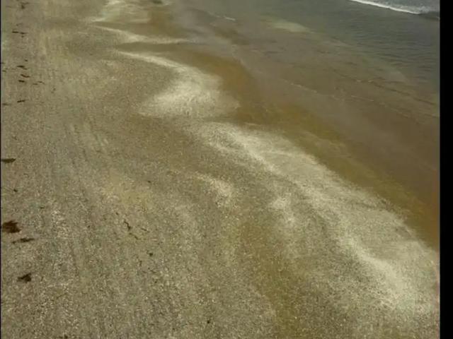 Terreno en venta en La Higuera, Coquimbo