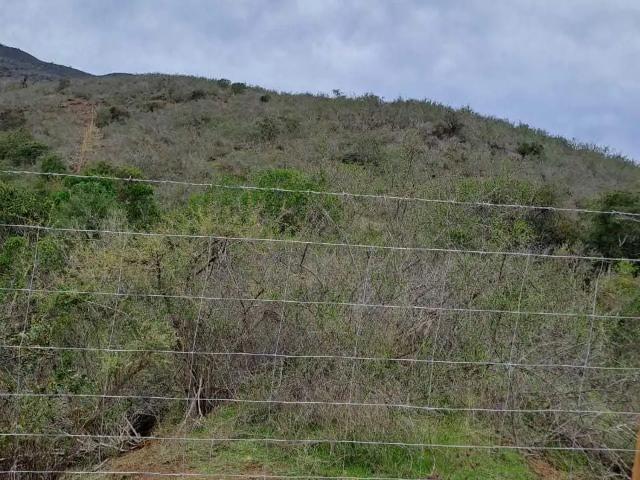 Terreno en venta en La Ligua, Valparaíso