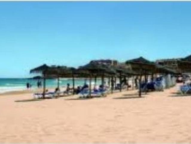 Local Comercial en venta en la Marina, el Baix Vinalopó