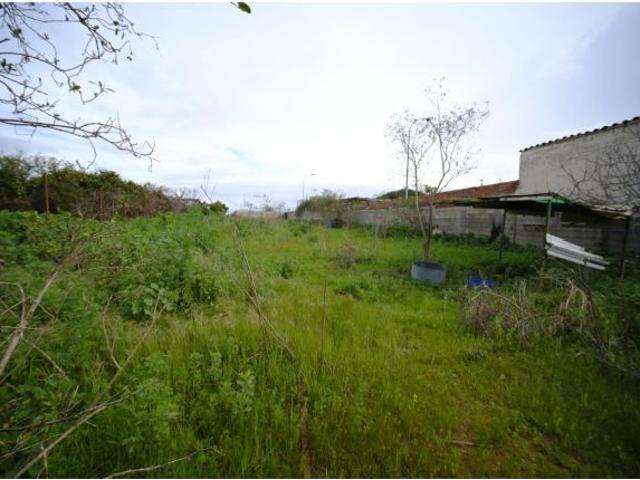 Local Comercial en venta en El Pinar de Oromana, Alcalá De Guadaíra