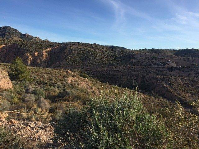 Terreno en venta en Virgen de las Huertas, Alto Guadalentín
