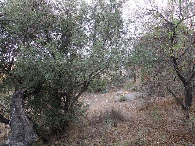 Terreno en venta en Centro, Málaga-Costa del Sol