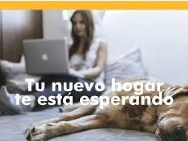 Local Comercial en venta en El Aljibe y las Brencas de Sicilia, Alto Guadalentín