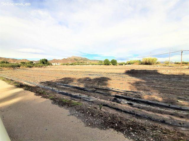 Local Comercial en venta en El Vainazo, Alto Guadalentín