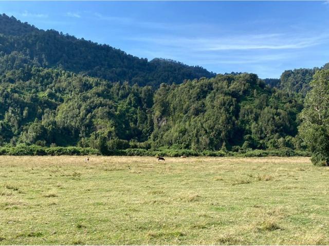 Terreno en venta en Lago Ranco, Los Ríos