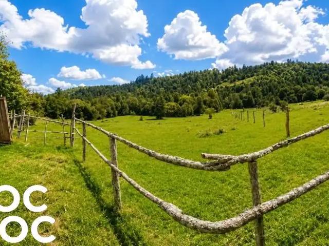 Terreno en venta en Lago Ranco, Los Ríos