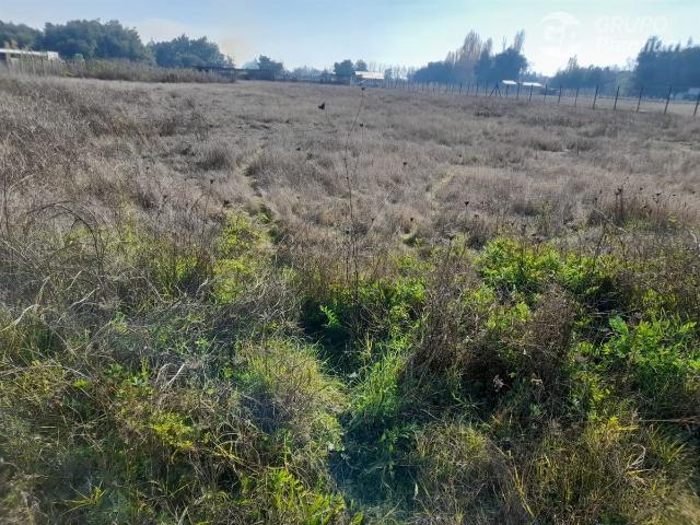 Terreno en venta en Linares, Maule