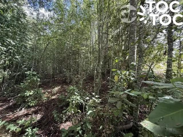 Terreno en venta en Loncoche, La Araucanía