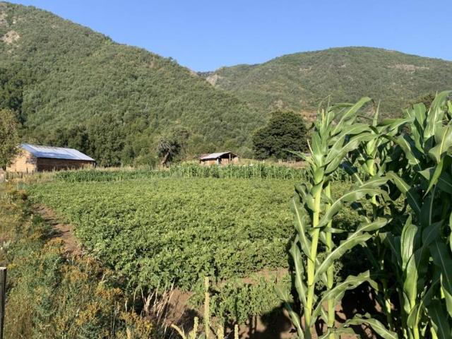 Parcela en Longaví