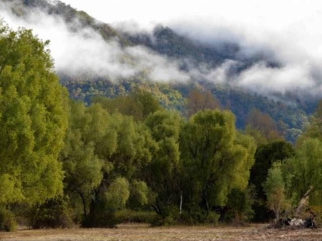 Parcela en Longaví