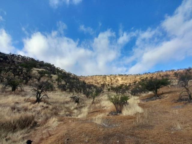 Parcela en Los Andes