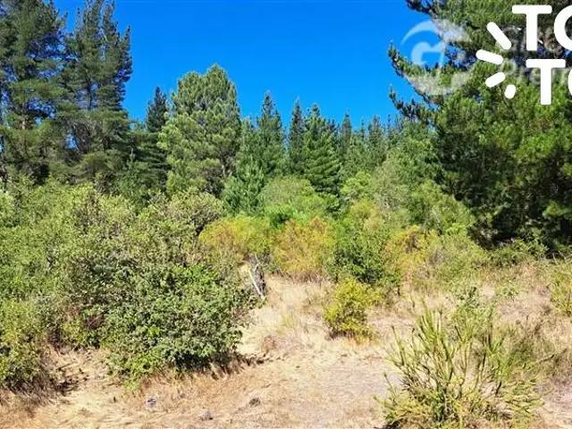 Terreno en venta en Los Angeles, Biobío
