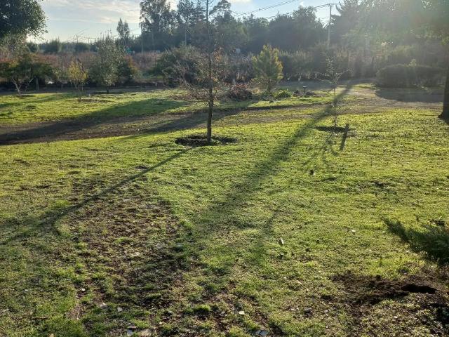 Parcela en Los Ángeles