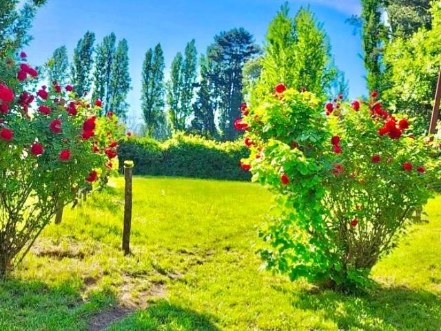 Parcela en Los Ángeles