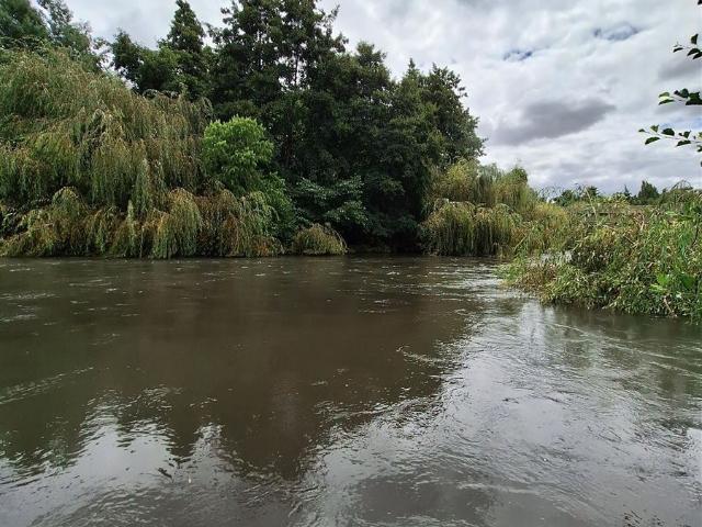 Parcela en Los Ángeles