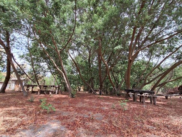 Parcela en Los Ángeles