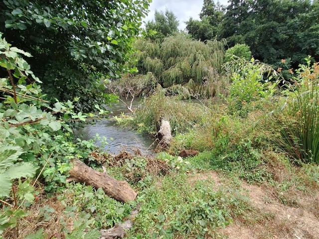 Parcela en Los Ángeles