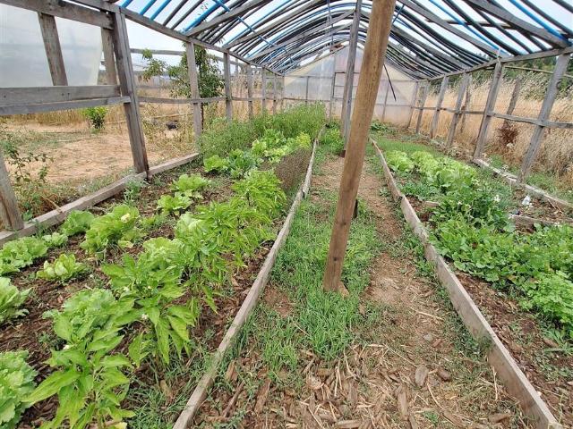 Parcela en Los Ángeles