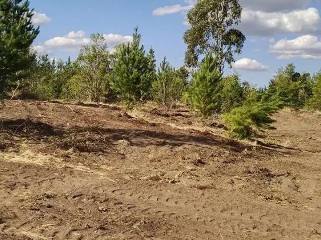 Terreno en venta en Los Angeles, Biobío