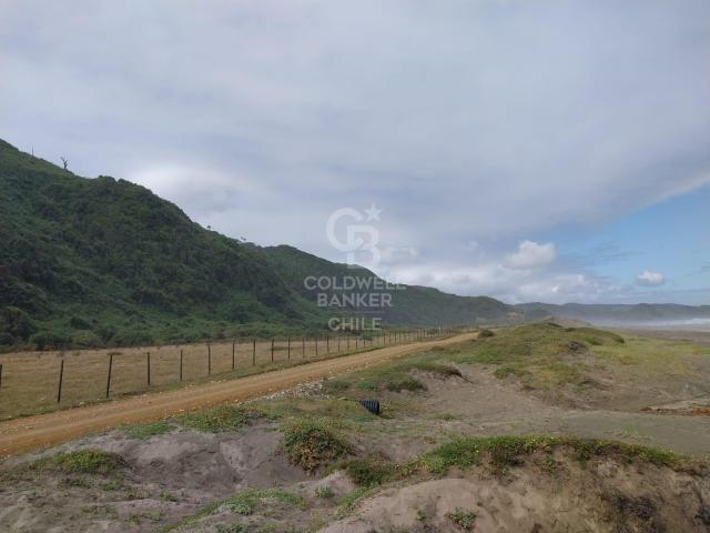 Parcela en Los Muermos