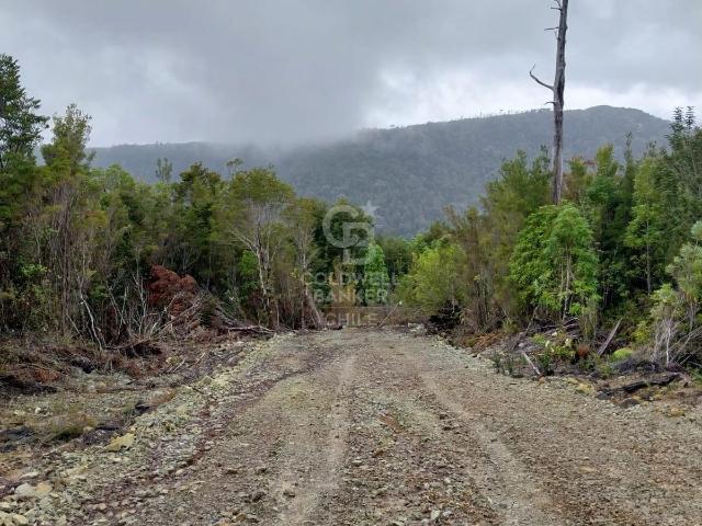 Parcela en Los Muermos
