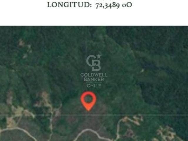 Parcela en Los Muermos