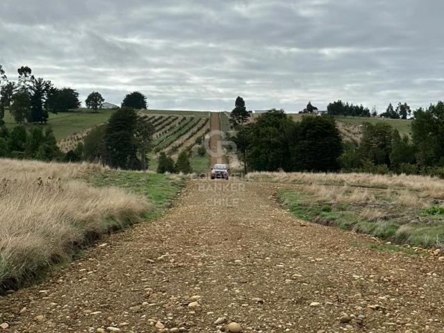 Parcela en Los Muermos