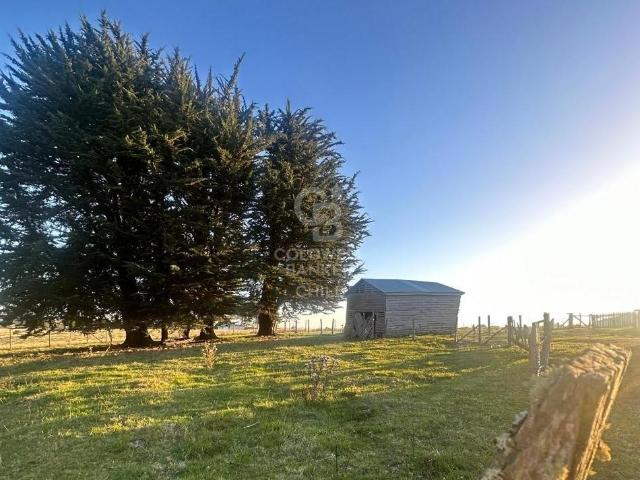 Parcela en Los Muermos