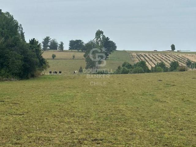 Parcela en Los Muermos