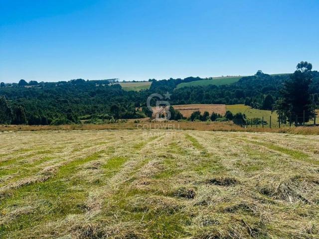 Parcela en Los Muermos