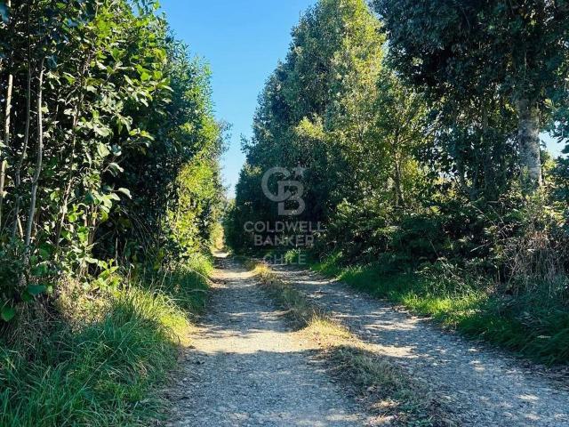 Parcela en Los Muermos