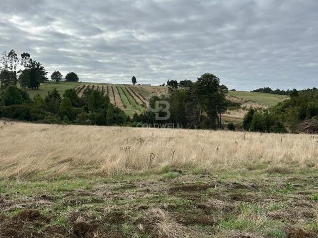 Parcela en Los Muermos