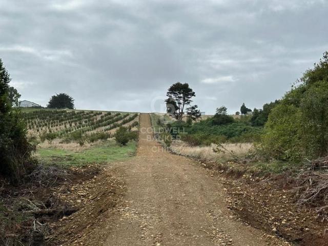 Parcela en Los Muermos