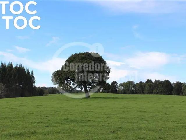 Parcela en Los Muermos