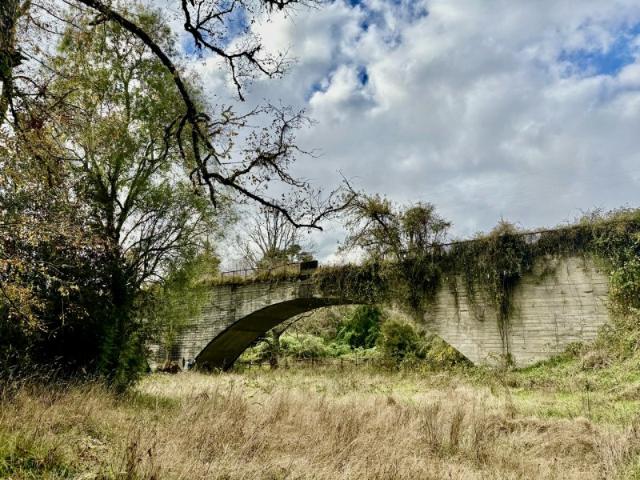 Parcela en Los Muermos