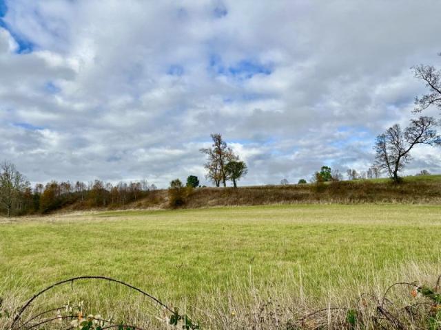 Parcela en Los Muermos