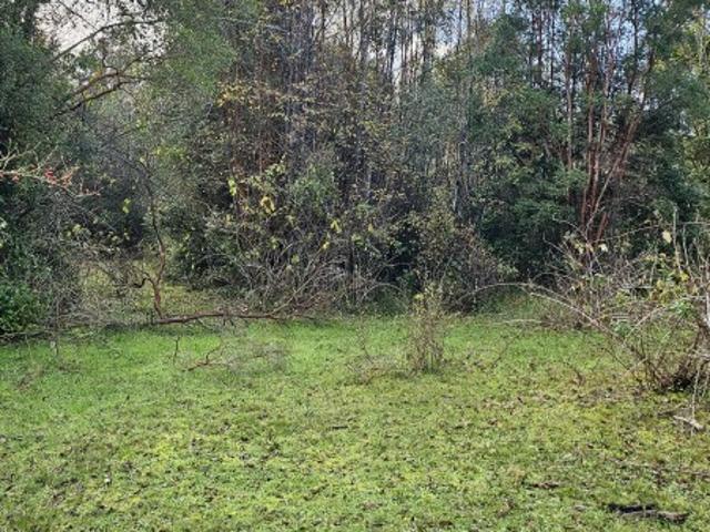 Parcela en Los Muermos