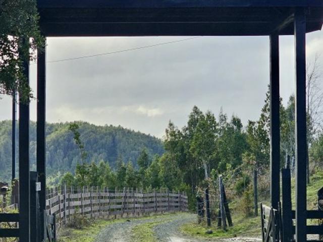 Parcela en Los Muermos