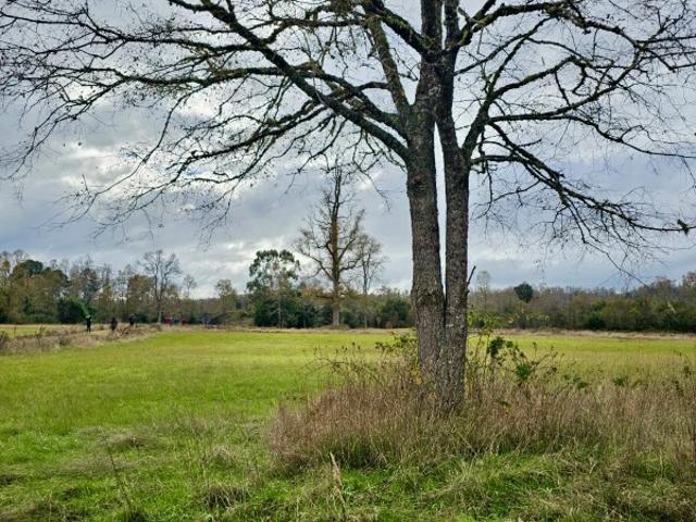 Parcela en Los Muermos