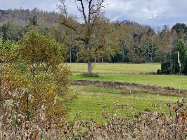Parcela en Los Muermos