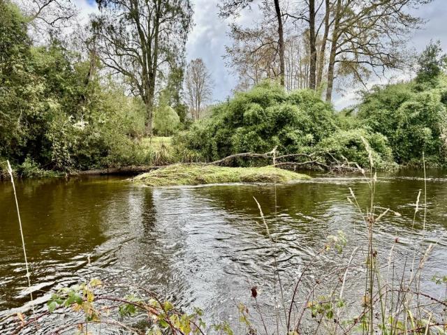 Parcela en Los Muermos