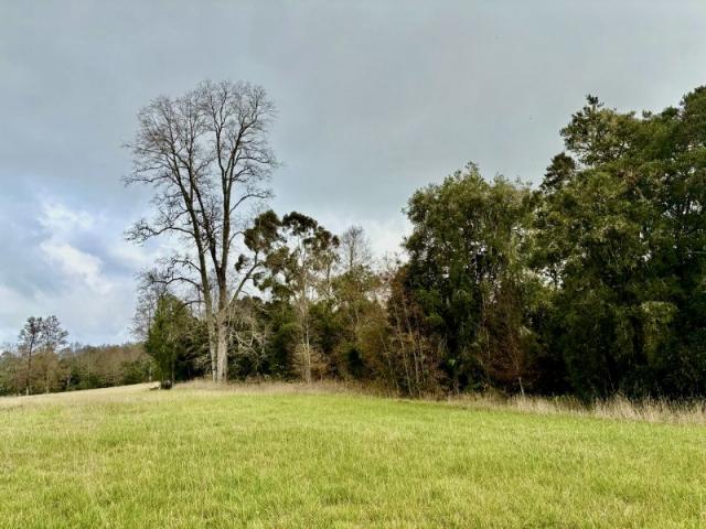 Parcela en Los Muermos