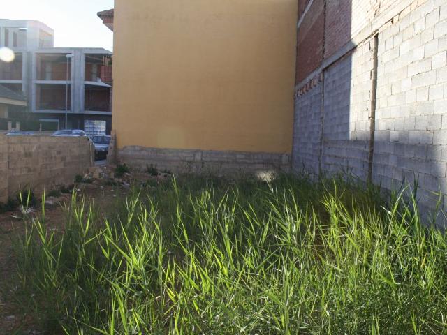 Terreno en venta en Formentera Del Segura, Los Palacios