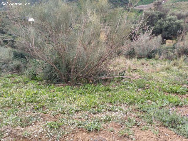 Local Comercial en venta en La Axarquía, Andalucía